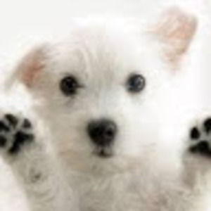 Meet your Posher, Eva